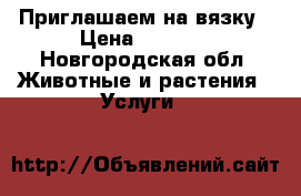 Приглашаем на вязку › Цена ­ 2 000 - Новгородская обл. Животные и растения » Услуги   